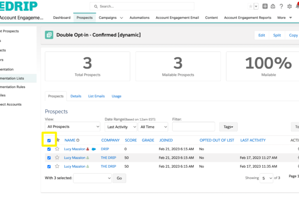 Pardot Dynamic Lists